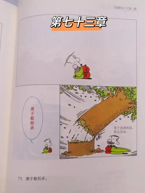 天网恢恢疏而不失