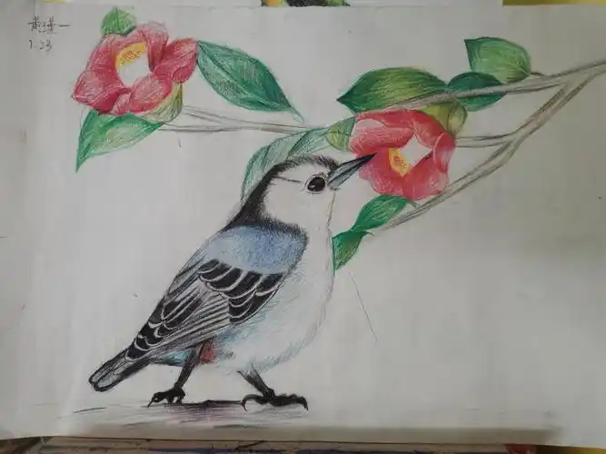 黄瑾一-2020年暑假优秀绘画作品