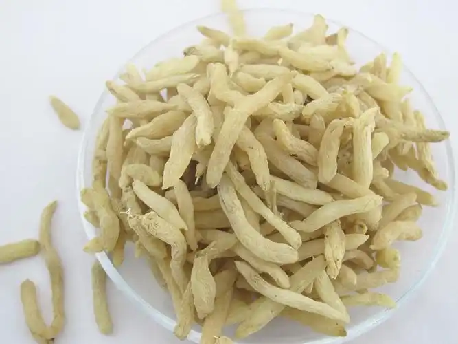 批发精品花草茶 特级无硫精选麦冬茶中药材麦冬 干咳心烦润肺清火