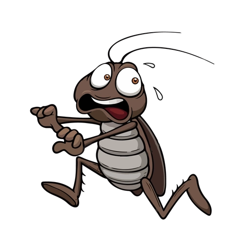 什么蟑螂竟有这么多种类