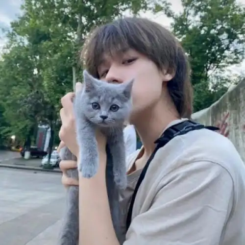 清新森系超好看的男生头像仙气飘飘很可爱很精致的男生头像大全