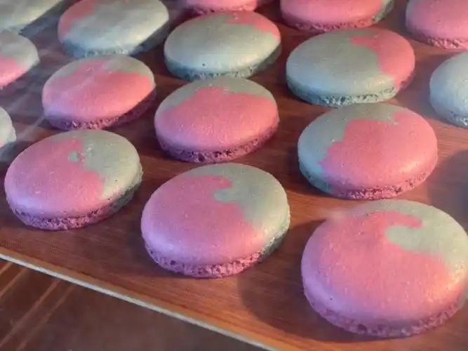 超级治愈系的胖胖马卡龙