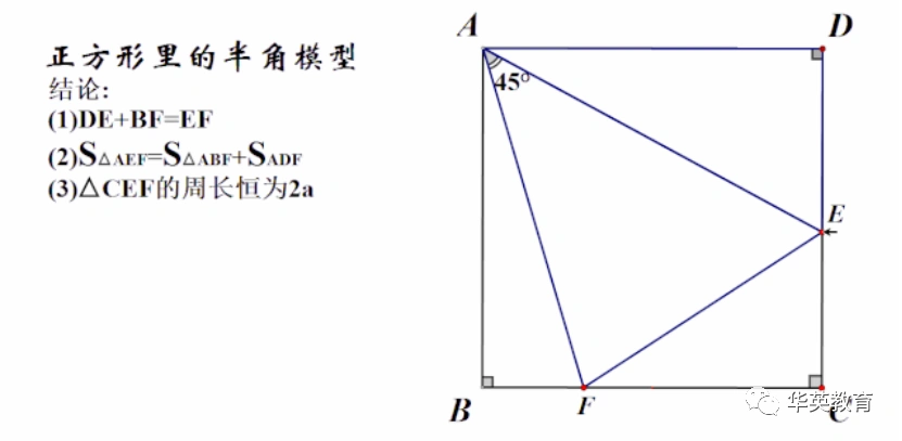 正方形半角模型