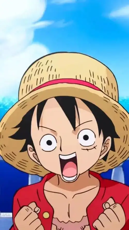 你有一份超清海贼王壁纸请查收