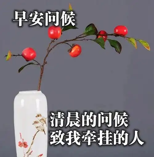 微信最新早上好问候图片 早晨好问候祝福图片