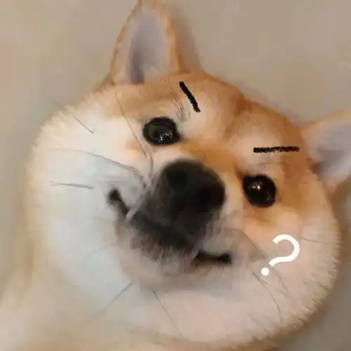 狗鼻子的头像沙雕搞笑