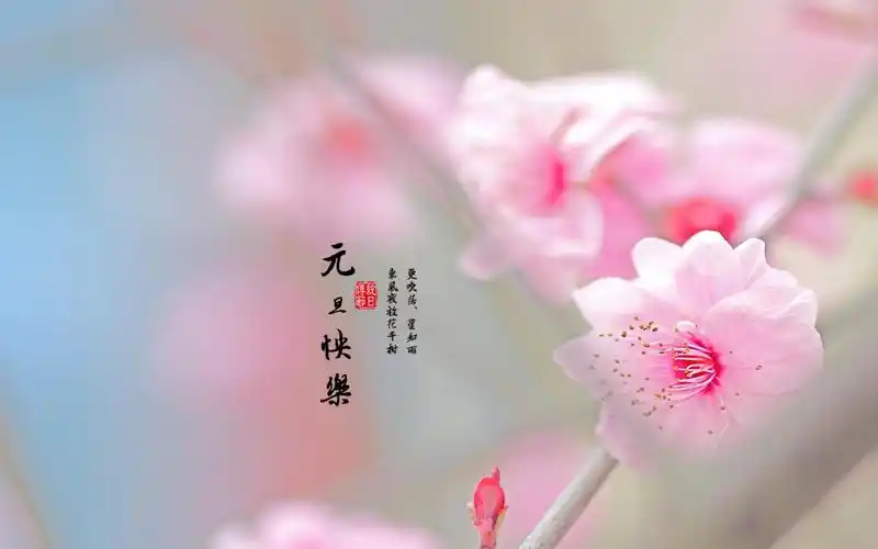 元旦唯美古诗词文字图片桌面壁纸