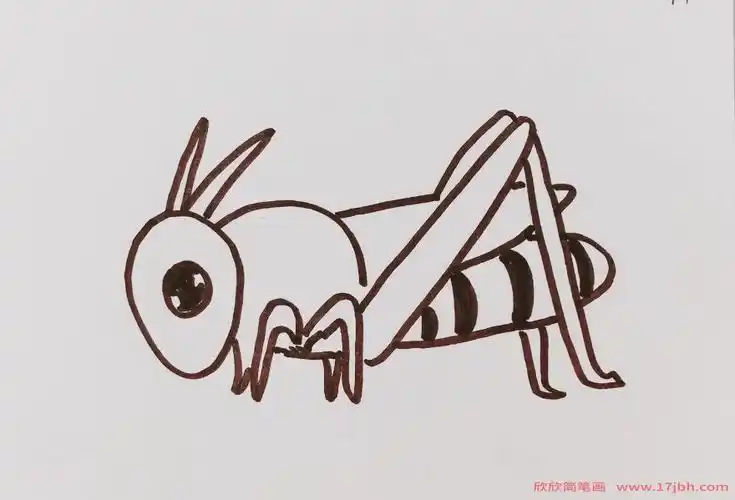绿蝈蝈简笔画蝈蝈怎么画