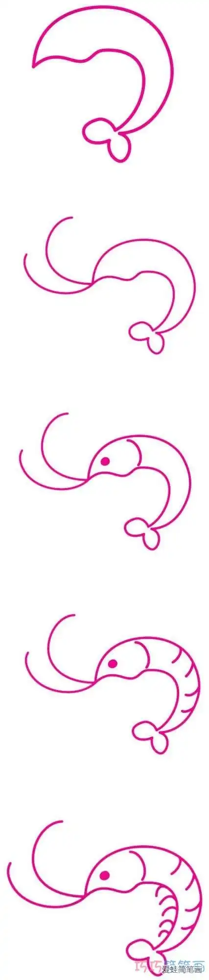 一步一步教你画虾简笔画_虾-简笔画大全