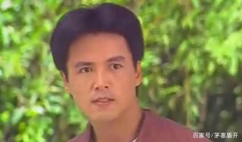 他早年曾在琼瑶剧《一帘幽梦》,《哑妻》,《海鸥飞处彩云飞》等琼瑶剧