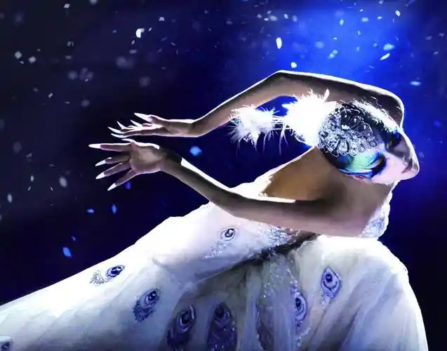 杨丽萍孔雀舞服装震撼全球,服装全靠彩绘?