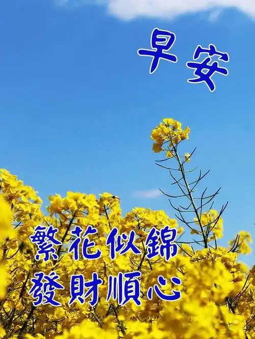 早上好祝福问候语大全早上好的句子带图片