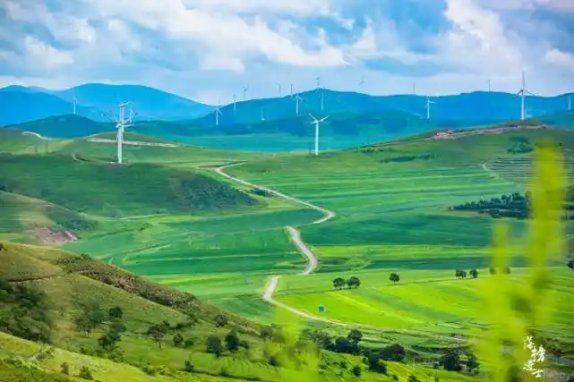 人少景美,仿佛画中游,深受自驾爱好者喜爱|沽源县|草原天路|张家口