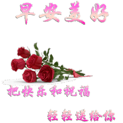 早上好问候语动态图片大全早晨好表情包2019