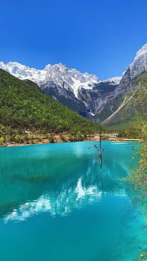 丽江市 蓝月谷蓝月谷太美啦 蓝月谷的点评2020年01月21日 点评:风景