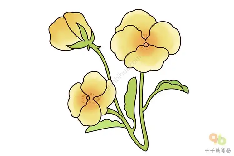 三色堇简笔画简单