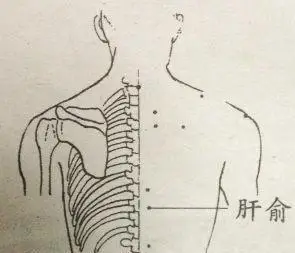 肝俞穴——肝俞穴位于背部,第9胸椎棘突下,旁开1.