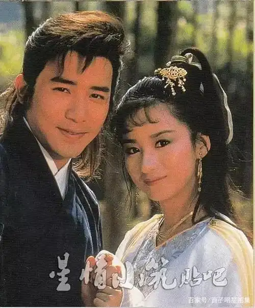 1988年出演《绝代双骄》中的苏樱,获得关注,同年即在电视剧《决战皇城
