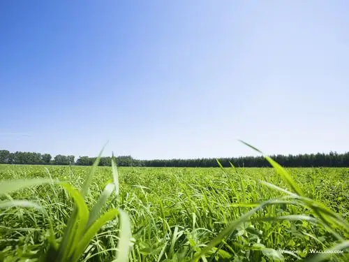 蓝天白云草地高清图片素材二(17p)[photoshop资源网|ps教程|psd模板|