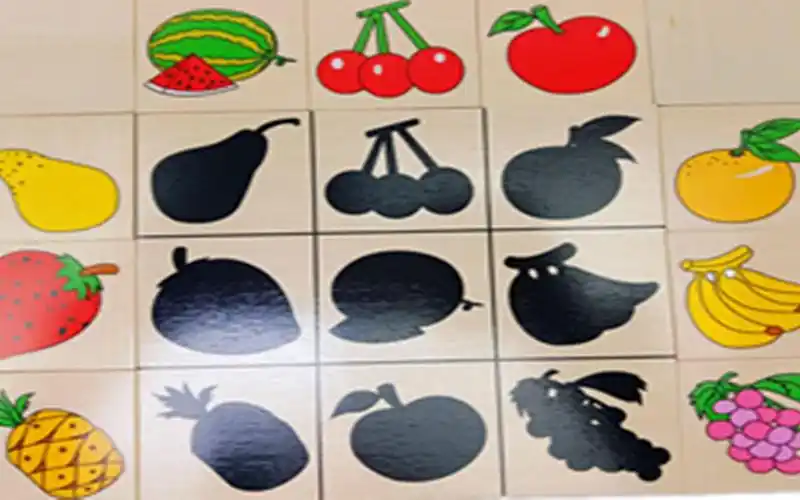 寻找水果的影子,积木配对