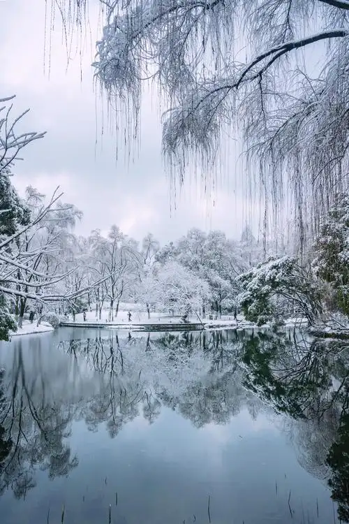看看古意浓浓的杭州茅家埠雪景吧!