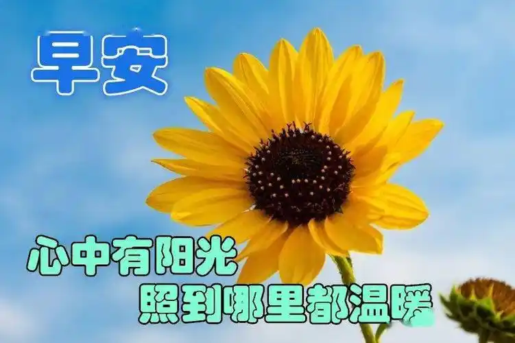 1月14日最漂亮早上好动态表情图片大全,早上好动图美图大全_问候