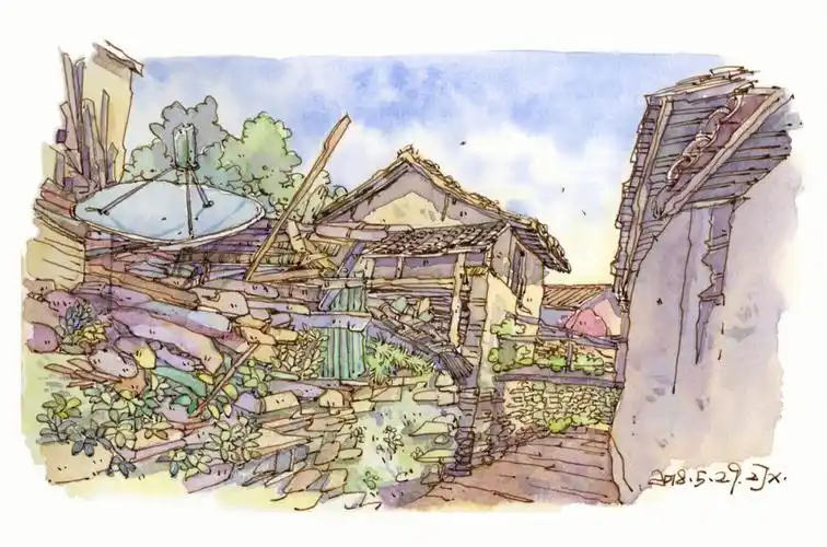 周锦绣的每日一画   #周锦绣的每日一画   #画画的日常   #钢笔淡