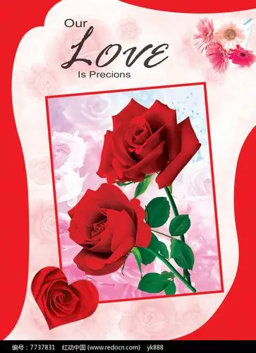 玫瑰花封面psd