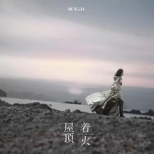 宋茜屋顶着火单曲mv封面海报