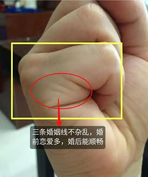 婚姻线数量多寡,杂乱长短,决定婚恋的成败!_手机搜狐网