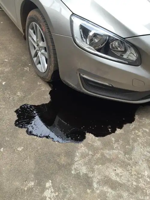 漏机油!_沃尔沃s60论坛_汽车之家论坛