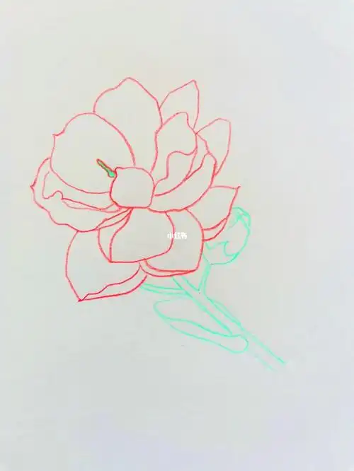 画画的日常  #简笔画  #寻找小红书绘画大神  #茉莉花  #鲜花分享