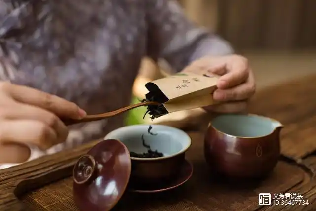 一个人懂不懂得泡茶,透过投茶量一眼就能看透