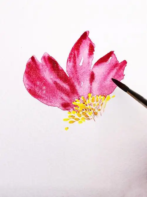 简单唯美的水彩画图片,格桑花水彩画