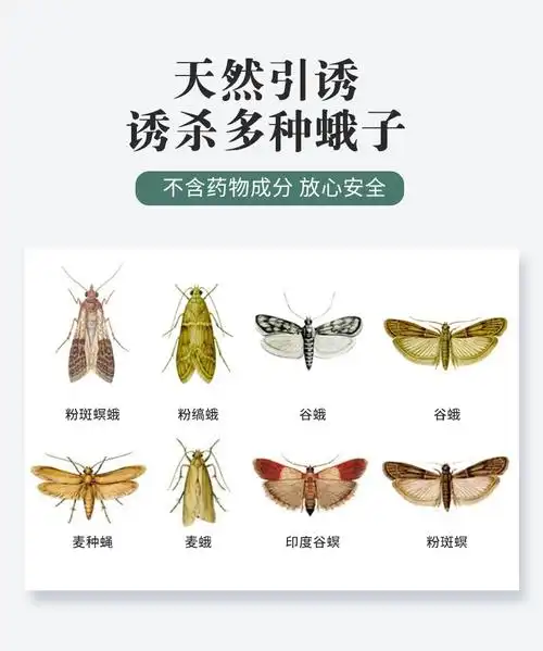 飞蛾诱捕器飞蛾诱捕器粘除米蛾子贴衣蛾家用小飞虫灭杀神器杀虫剂药