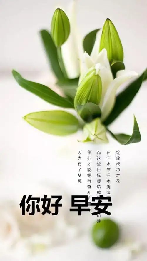 早安问候语图片句子简短一句话早安心语励志正能量语录微信早上好励志