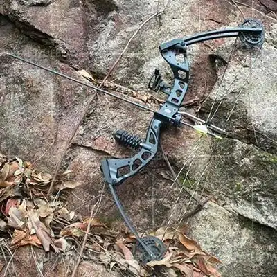 鹰隼l1狩猎射鱼弓箭 渔猎打鱼弓 比赛射箭滑轮弓箭 反曲弓直拉弓