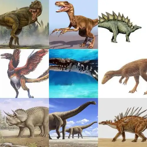 在进行教具操作之前,要先了解十大恐龙,记住它们的名字