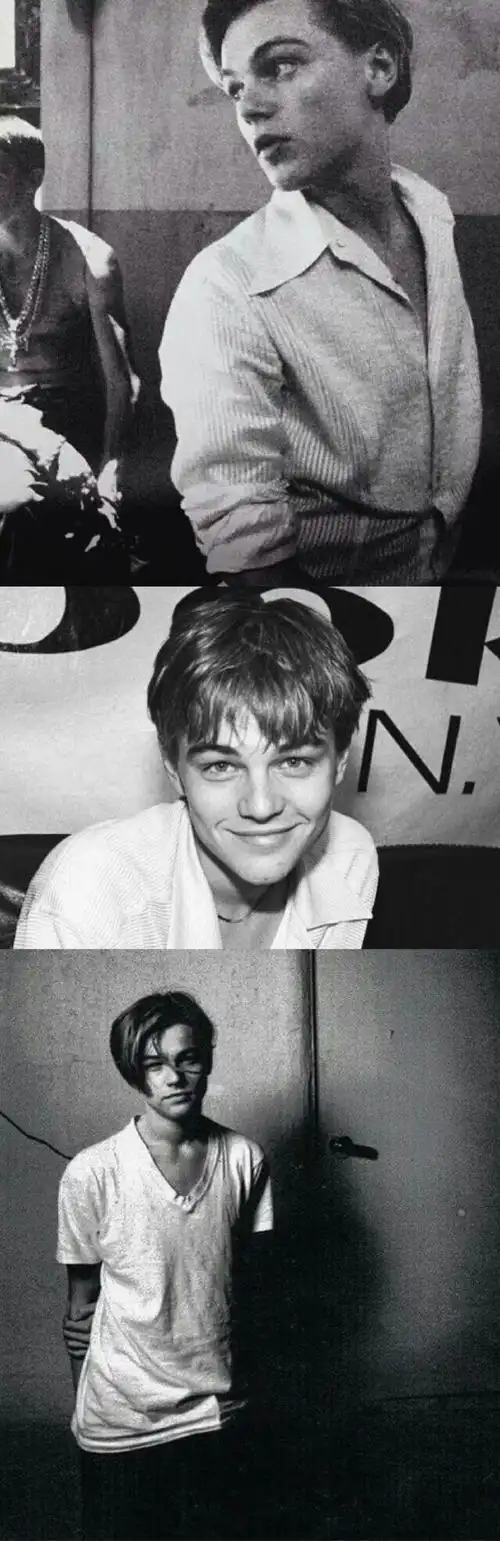 小李子 - 堆糖,美图壁纸兴趣社区