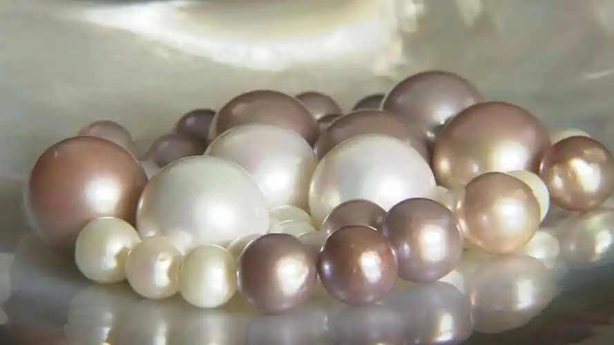 一颗珍珠如何成为璀璨珠宝?这座小镇带你了解全过程_手机搜狐网