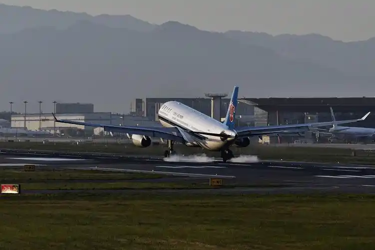 暮色下的飞机降落