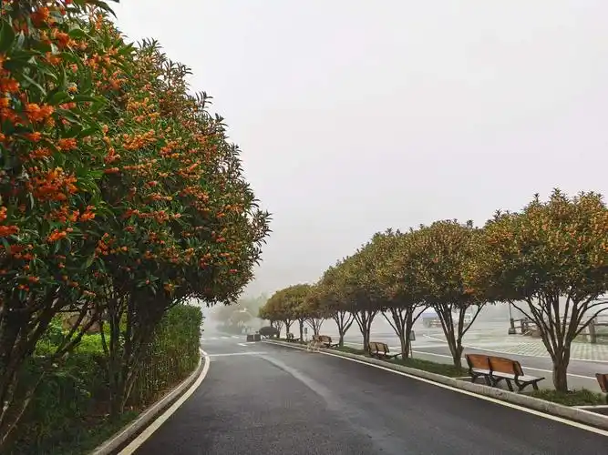 浙江遂昌松阳缙云浮光掠影(一)