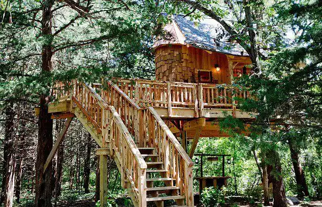 美退休老太建树屋 实现儿时梦想