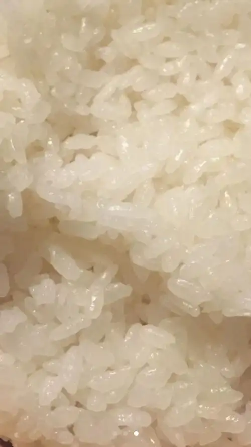 超级完美焖日本米饭(粳米,新米)鳗鱼饭 寿司米