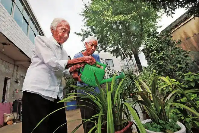 爱剪纸能绣花探访博望区百岁老人幸福的晚年生活