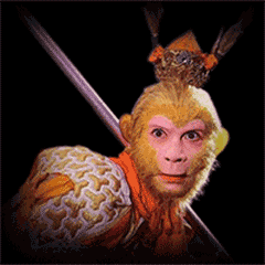 齐天大圣gif孙悟空gif西游记gif变化gif