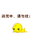 qq表情装死中请勿扰