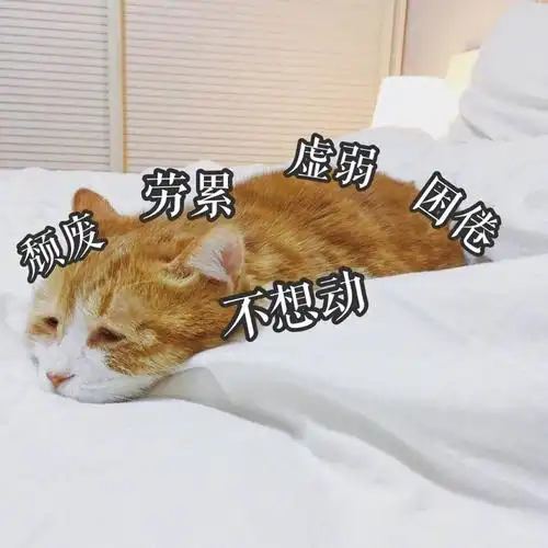 猫咪萌宠床铺颓废劳累虚弱困倦不想动gif动图_动态图_表情包下载_soo
