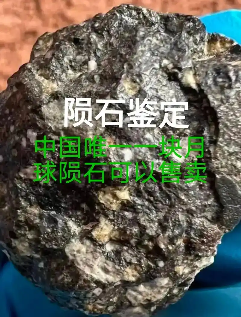 新发现的月球陨石 #中国第一块月球陨石@热合 - 抖音