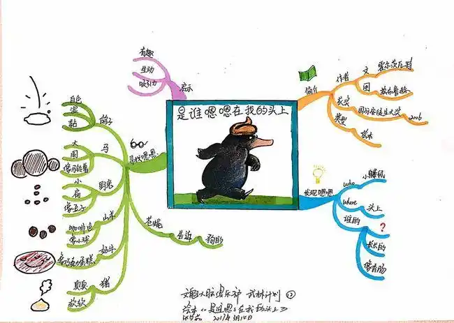 【玉印派】张艾茹思维导图武林计划no.12 绘本《是谁嗯嗯在我的头上》